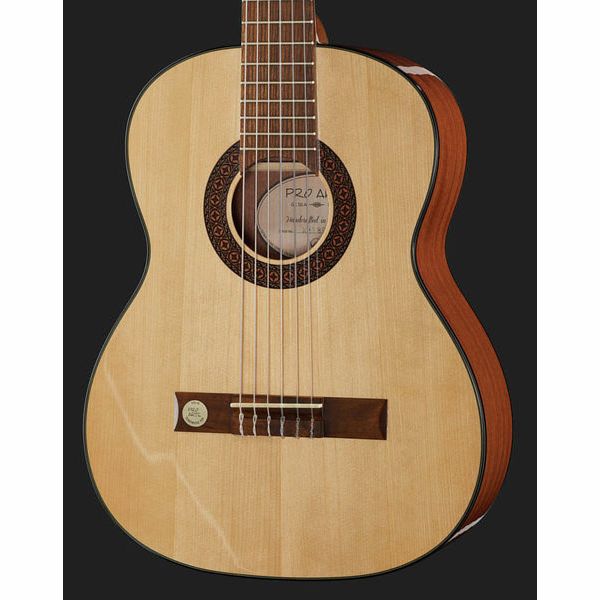 Gewa Pro Arte GC50A