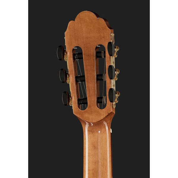 Gewa Pro Arte GC50A