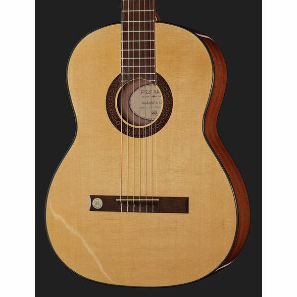 Gewa Pro Arte GC210A