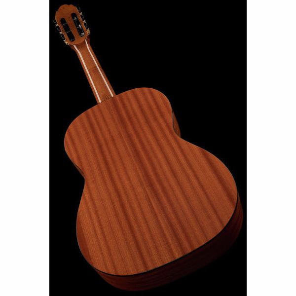 Gewa Pro Arte GC100A