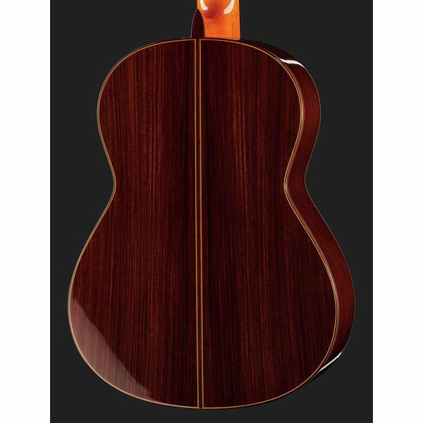 Ramirez Tradicional 1A W case