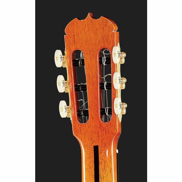 Ramirez Tradicional 1A W case