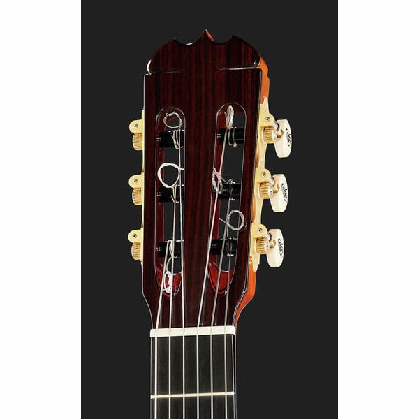 Ramirez Tradicional 1A W case