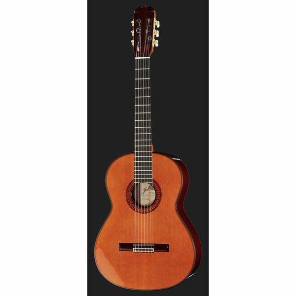Ramirez Tradicional 1A W case