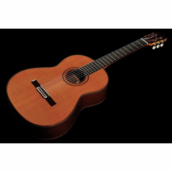 Ramirez Tradicional 1A W case