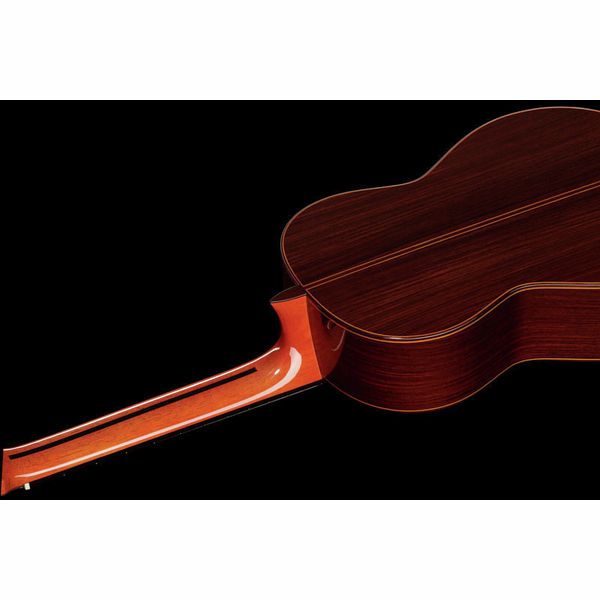 Ramirez Tradicional 1A W case