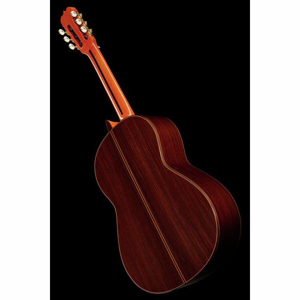 Ramirez Tradicional 1A W case