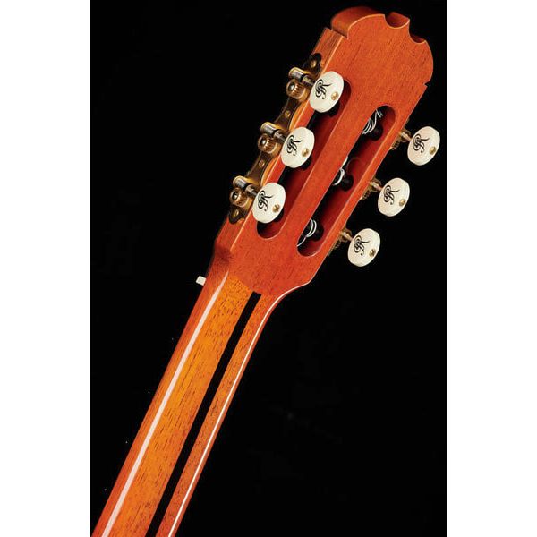 Ramirez Tradicional 1A W case