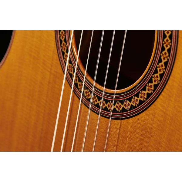Alhambra Iberia Ziricote Incl Gig Bag
