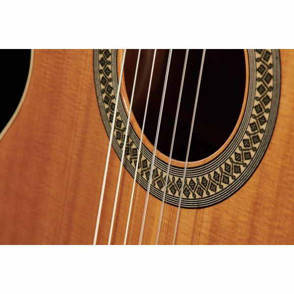 Alhambra 2C Incl Gig Bag
