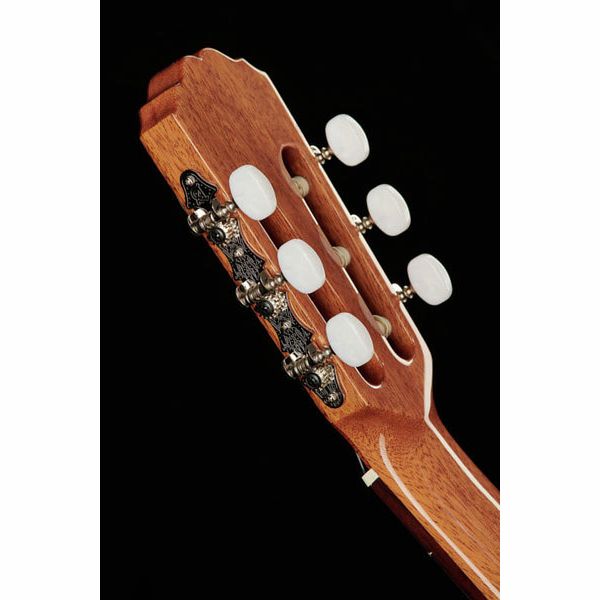 Alhambra 2C Incl Gig Bag