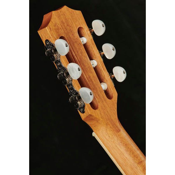 Taylor 814ce-N