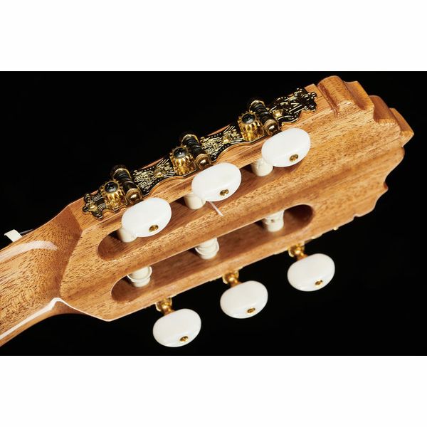 Alhambra 5P A Incl Gig Bag