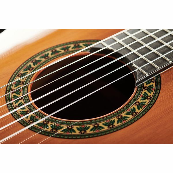 Alhambra 5P Incl Gig Bag