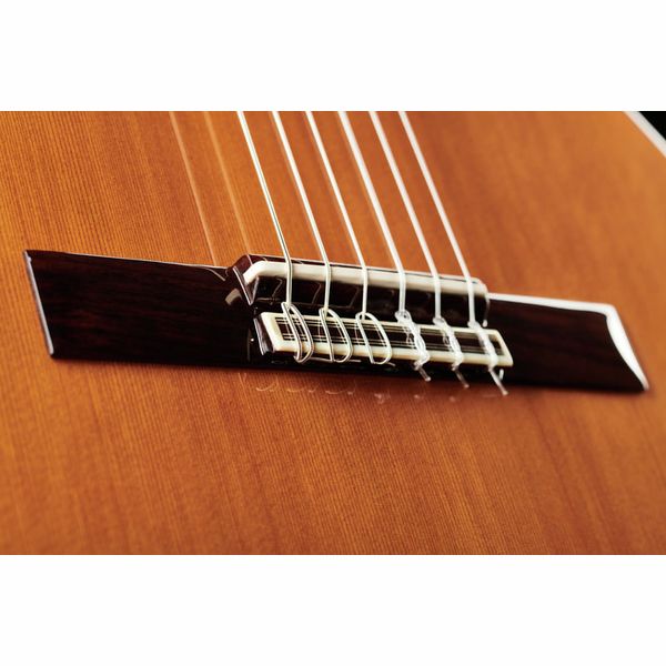 Alhambra 5P Incl Gig Bag