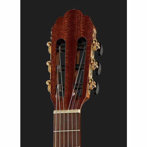 Gewa Pro Arte GC50A