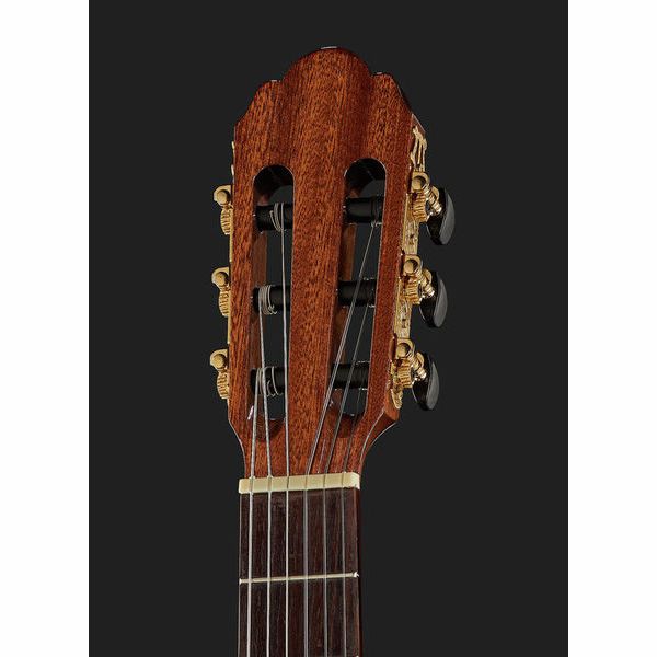 Gewa Pro Arte GC100A