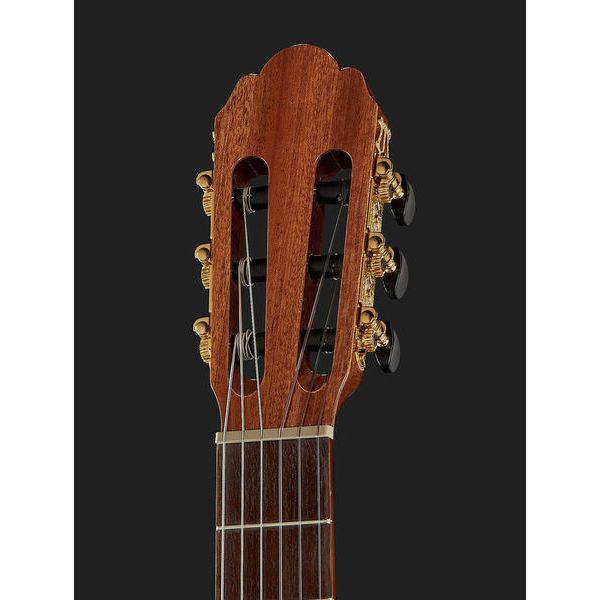 Gewa Pro Arte GC210A