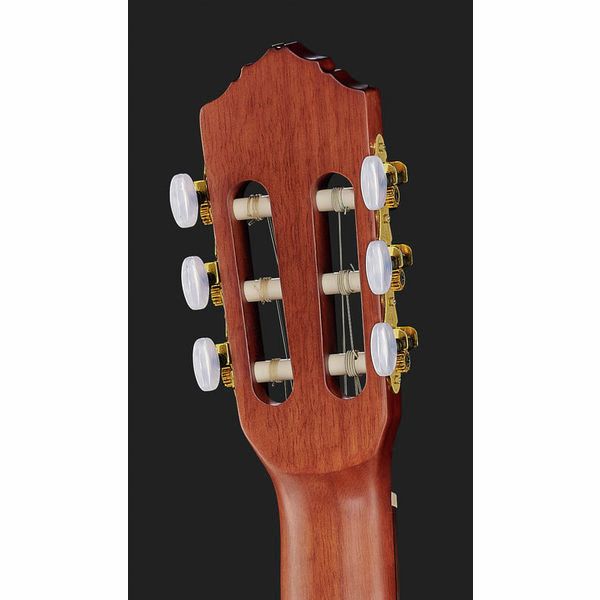 Ortega R55DLX-BFT