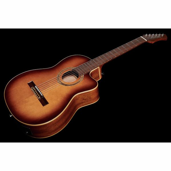 Ortega RCE238SN-FT