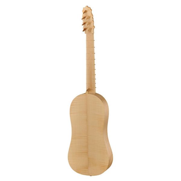 la boutique Pro Renaissance Guitar