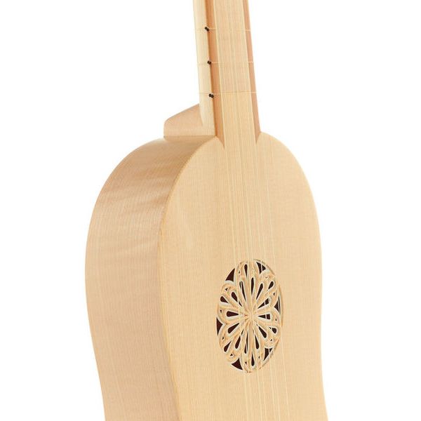 la boutique Pro Renaissance Guitar