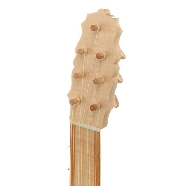 la boutique Pro Renaissance Guitar
