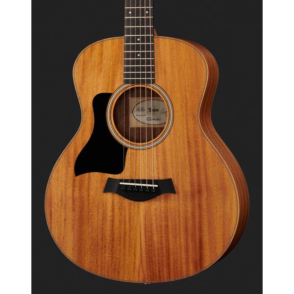 Taylor GS Mini LH