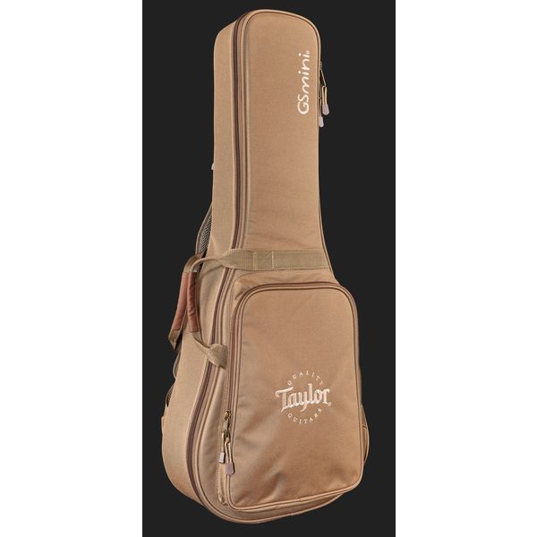 Taylor GS Mini LH
