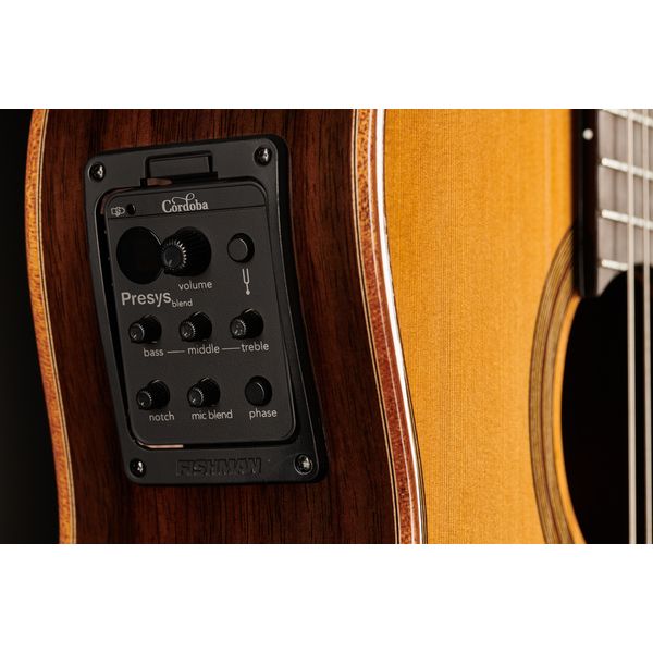 Cordoba Fusion Orchestra CE Cedar