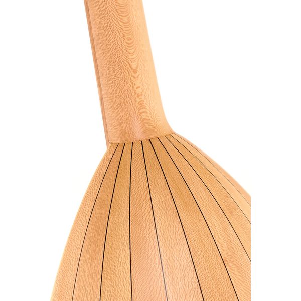 la boutique Lute Guitar