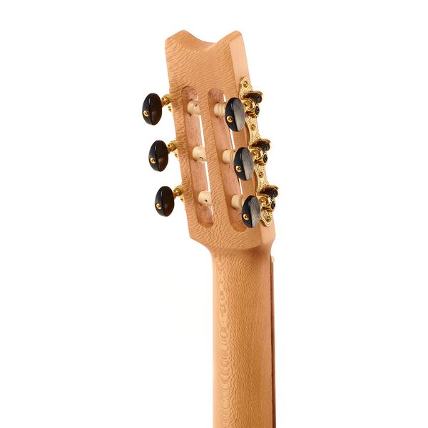 la boutique Lute Guitar