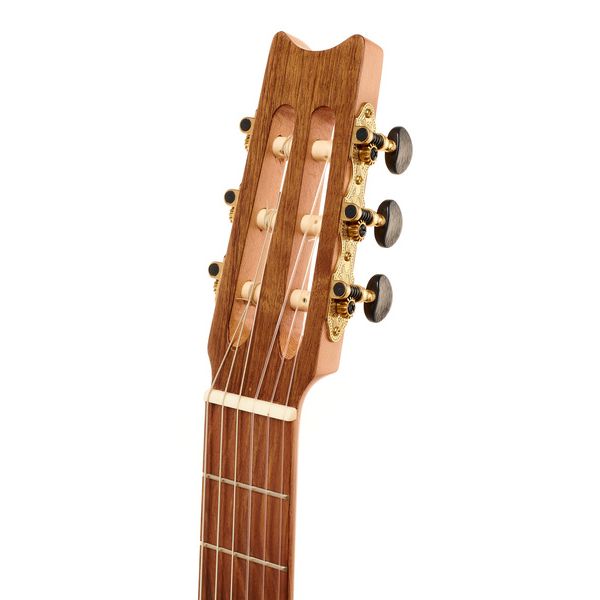 la boutique Lute Guitar