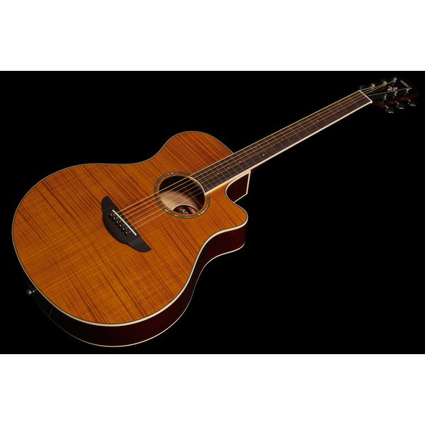 Yamaha APX 600 FM