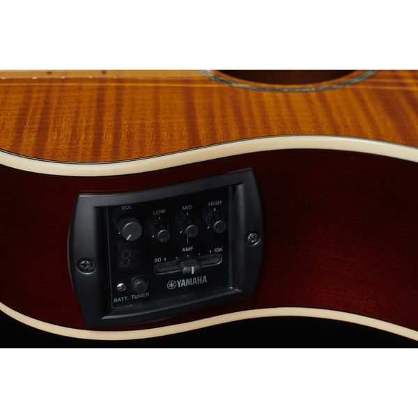 Yamaha APX 600 FM