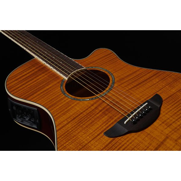 Yamaha APX 600 FM