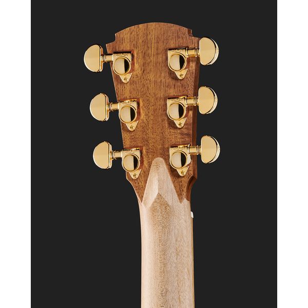 Cole Clark TL2EC-BLBL-HH