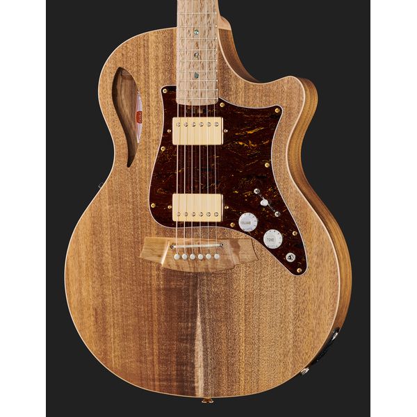 Cole Clark TL2EC-BLBL-HH