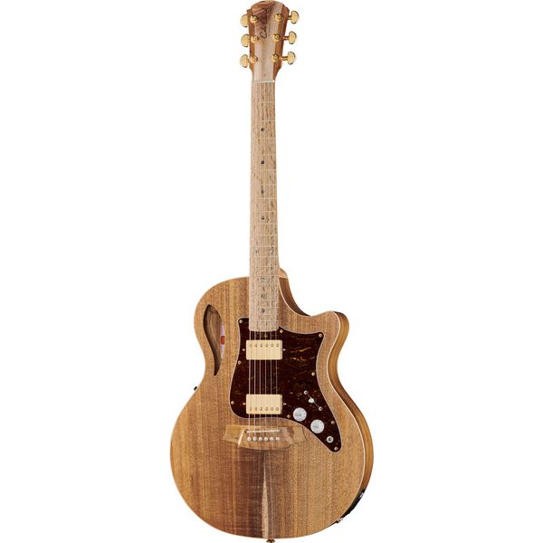 Cole Clark TL2EC-BLBL-HH