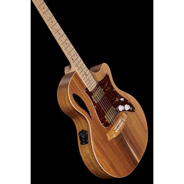 Cole Clark TL2EC-BLBL-HH