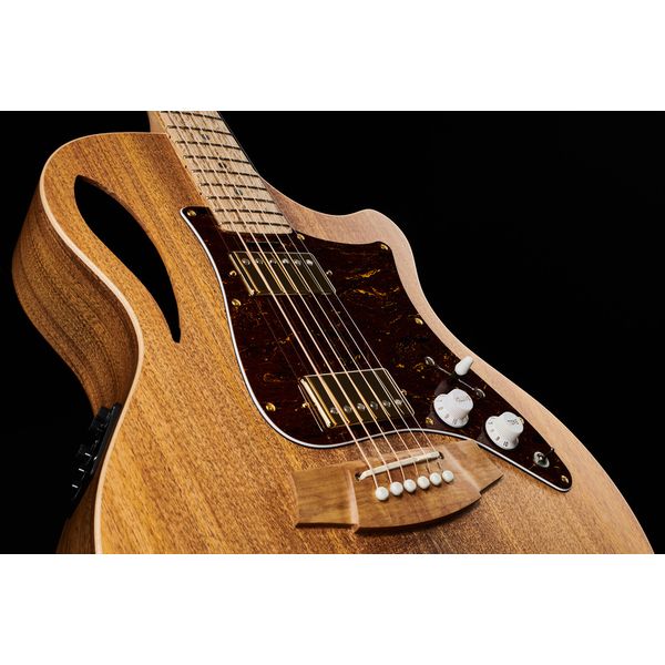 Cole Clark TL2EC-BLBL-HH