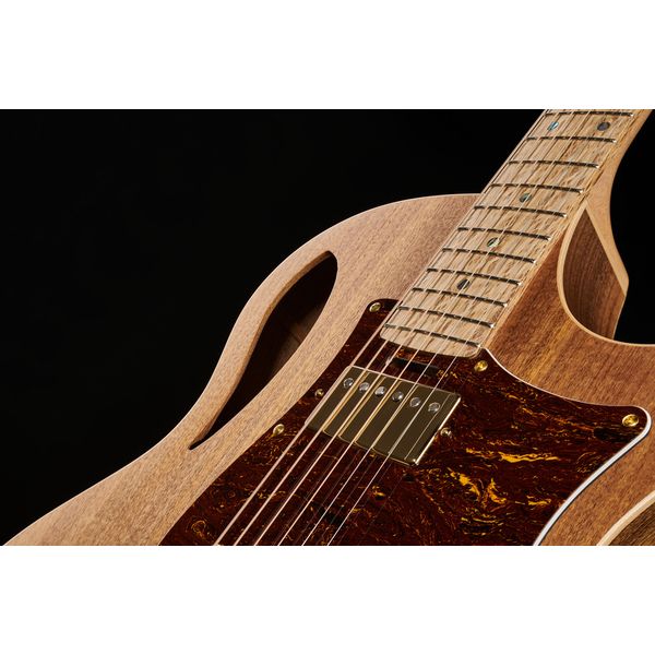 Cole Clark TL2EC-BLBL-HH