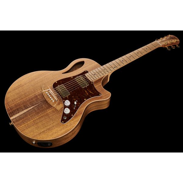 Cole Clark TL2EC-BLBL-HH