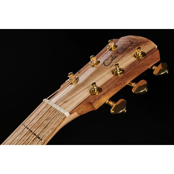 Cole Clark TL2EC-BLBL-HH