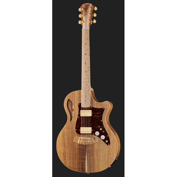 Cole Clark TL2EC-BLBL-HH