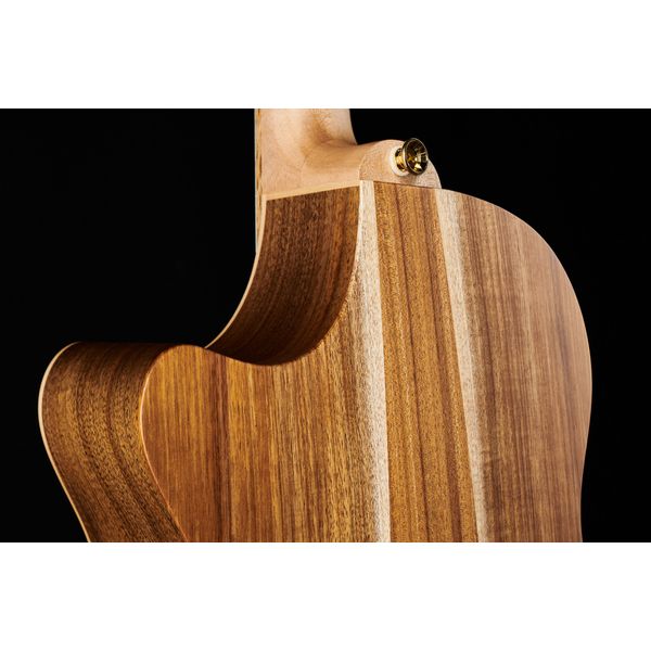 Cole Clark TL2EC-BLBL-HH