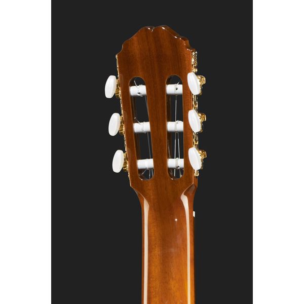 Takamine EC132SC W Softcase