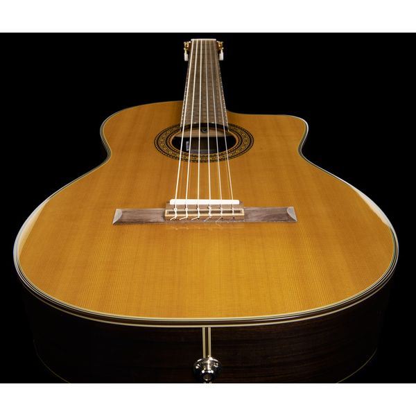 Takamine EC132SC W Softcase