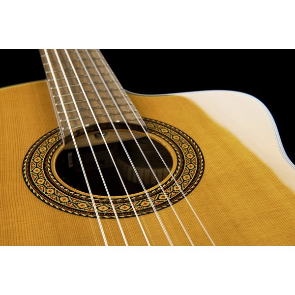 Takamine EC132SC W Softcase