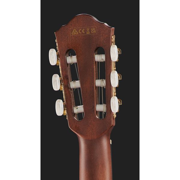 Ibanez AEG74N-MHS